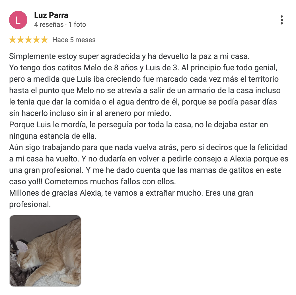 Captura de pantalla 2025-04-25 a las 11.17.41